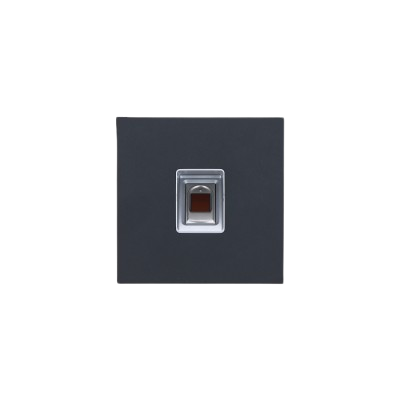 DAHUA VTO4202FB-MF