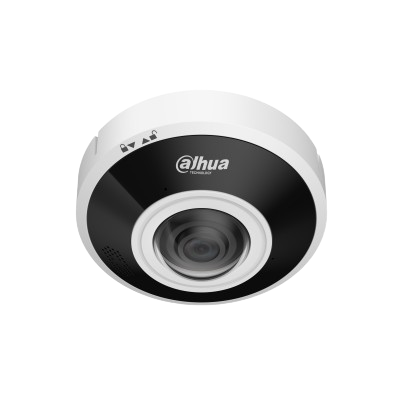 DAHUA IPC-EBW5641P-AS