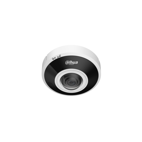 DAHUA IPC-EBW5641P-AS