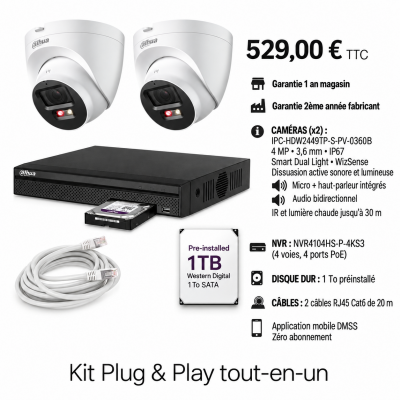 Kit Dahua 2 caméras IP 4 MP avec dissuasion active et haut-parleur