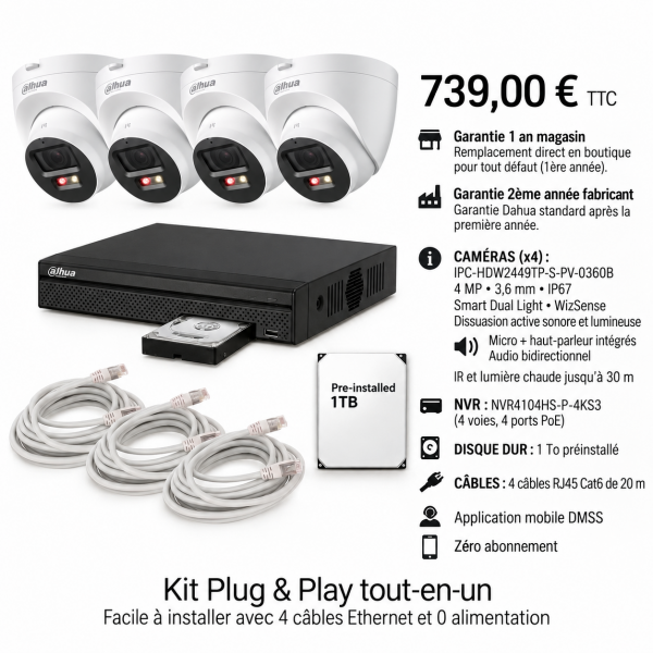 Kit Dahua 4 caméras IP 4 MP IPC-HDW2449TP-S-PV + NVR PoE 1 To