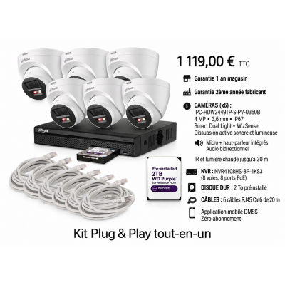 Kit Dahua 6 caméras IP 4 MP avec dissuasion active et haut-parleur