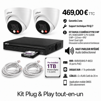 Kit Dahua 2 caméras dôme IP PoE 5 MP IPC-HDW2549TP-S-PV-0280B avec haut-parleur, NVR et disque 1 To