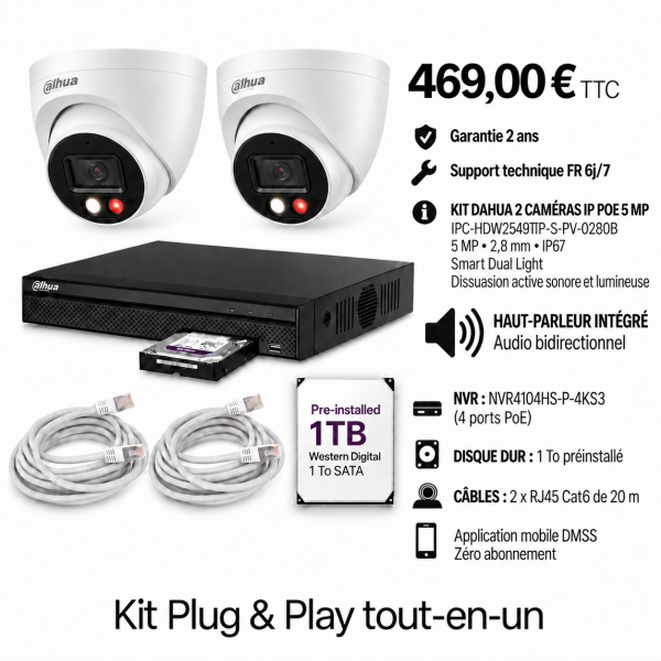 Kit Dahua 2 caméras dôme IP 5 MP IPC-HDW2549TP-S-PV-0280B + NVR PoE 1 To