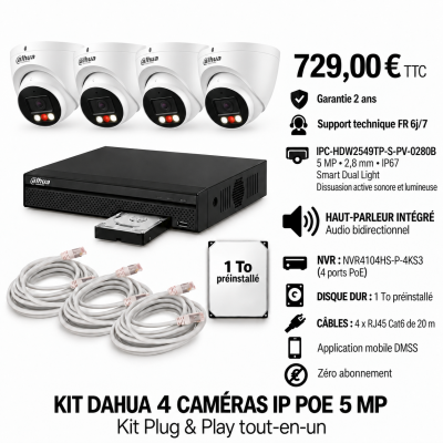 Kit Dahua 4 caméras dôme IP PoE 5 MP IPC-HDW2549TP-S-PV-0280B avec haut-parleur, NVR et disque 1 To