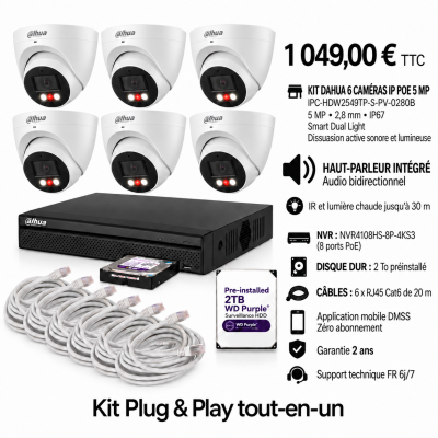 Kit Dahua 6 caméras dôme IP PoE 5 MP IPC-HDW2549TP-S-PV-0280B avec haut-parleur, NVR et disque 2 To