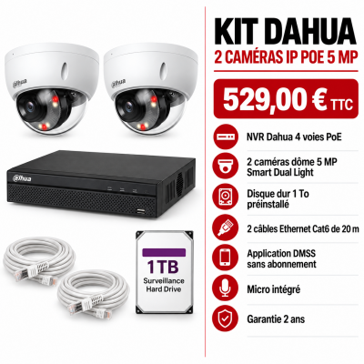 Kit Dahua 2 caméras IP PoE 5 MP HDBW2549EP