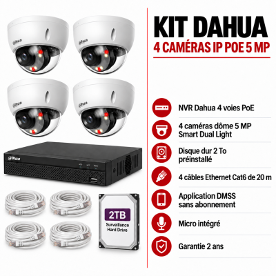 Kit Dahua 4 caméras IP PoE 5MP HDBW2549EP
